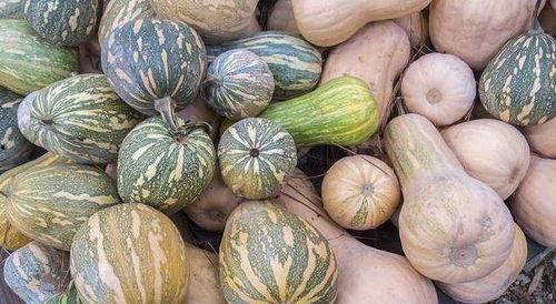 吃瓜盘串,吃瓜盘串背后的明星秘闻