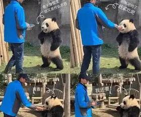 吃瓜国宝,探寻国宝级美食背后的故事