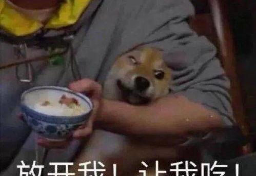 带你吃瓜科学,带你探索科学界的“吃瓜”现象