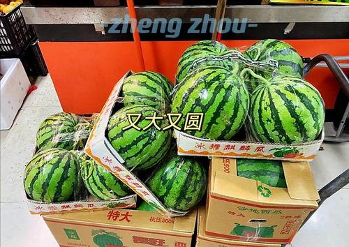 郑州财经吃瓜群,揭秘吃瓜群里的热点事件与幕后故事