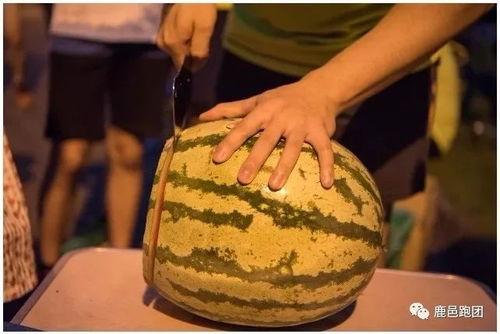 吃瓜神器每日大赛,瓜界风云再起，谁是瓜王？