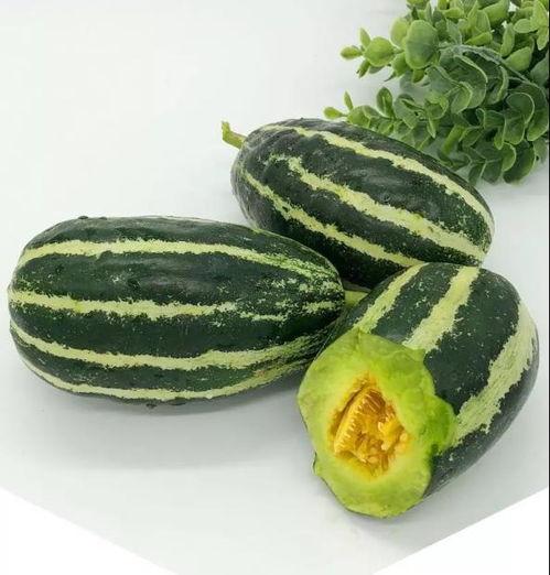 慈周寨吃瓜,吃瓜群众的欢乐时光