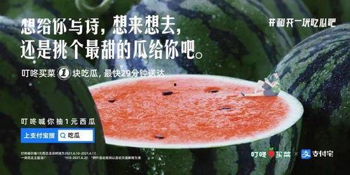 吃瓜不浪费文案,绿色生活新风尚