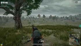 吃鸡吃瓜直播间怎么进,轻松进入吃鸡吃瓜直播间的独家攻略