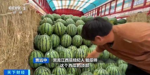 吃瓜布品,夏日消暑神器背后的故事