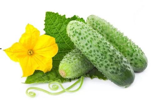 吃瓜系统苏景辞,吃瓜系统背后的神秘力量揭秘