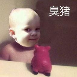 吃瓜呆住表情包,揭秘网络时代的表情文化新宠