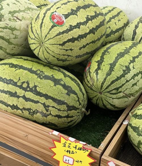 吃瓜还是吃宁夏西瓜