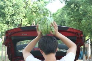 唱歌吃瓜两不误,唱歌与吃瓜两不误的欢乐时光