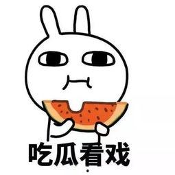 吃瓜假离婚,婚姻背后的惊人真相