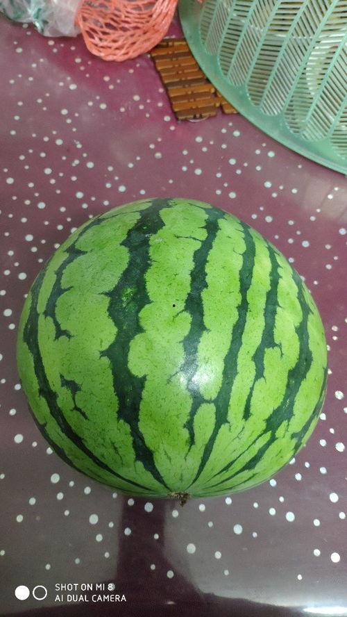 吃瓜愿意拉肚,揭秘夏日消暑美食背后的健康隐患