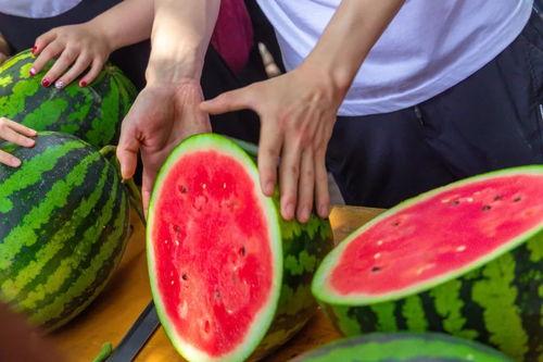 南宁大学吃瓜视频,校园生活趣味瞬间大揭秘