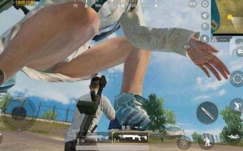 巨人瓜吃鸡,一场别开生面的趣味竞技盛宴