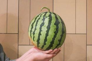 全网吃瓜最新,最新吃瓜事件大揭秘！