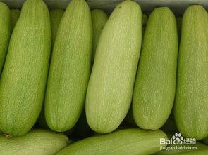 白瓜可以连皮吃吗,健康美味两不误