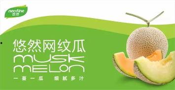 悠闲吃瓜的群众,悠闲吃瓜群众视角下的社会百态