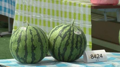 浙江和上海吃瓜,一场吃瓜者的味蕾盛宴