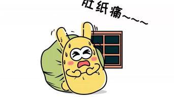 立冬吃瓜群众,吃瓜群众欢聚一堂