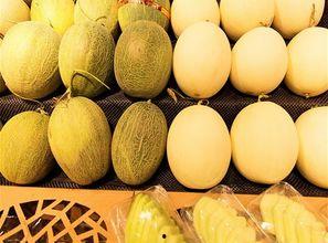 吃西瓜和哈密瓜咳嗽,夏日解暑佳果变“催咳剂”？西瓜与哈密瓜的咳嗽之谜