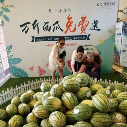 梁山龙城广场吃瓜,热闹非凡的吃瓜盛地