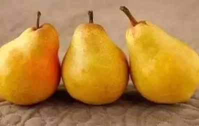 秋天吃蜜不吃瓜,甜蜜蜜瓜季已过，品味秋日蜜果时光